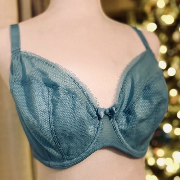 Chantelle Blue Underwire Bra with Molded Cups - Picture 1 of 3